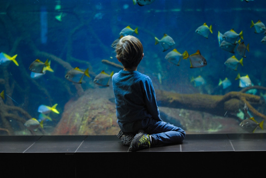 Exploring the Best Cribs for Fish: A Comprehensive Guide